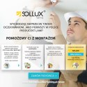 Plafon QUATRO 1 naturalne drewno