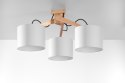 Plafon LEGNO 3 naturalne drewno Plafon LEGNO 3 naturalne drewno
