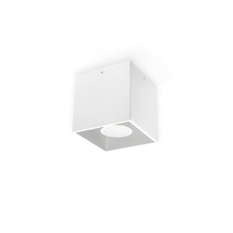 Plafon QUAD 1 Biały sufit sufitowa lampa spot punkt Plafon QUAD 1 Biały sufit sufitowa lampa spot punkt
