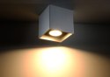 Plafon QUAD 1 Szary sufit sufitowa lampa spot punkt