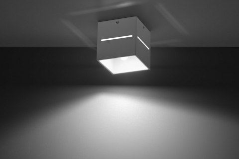 Plafon LOBO Biały sufit sufitowa lampa spot punkt Plafon LOBO Biały sufit sufitowa lampa spot punkt
