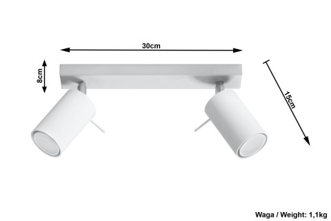 Plafon RING 2 Biały sufit sufitowa lampa spot punkt Plafon RING 2 Biały sufit sufitowa lampa spot punkt